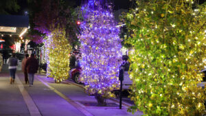 Christmas Lights in Downtown Athens, GA