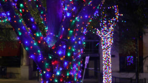 Christmas Lights in Downtown Athens, GA