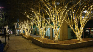 Christmas Lights in Downtown Athens, GA